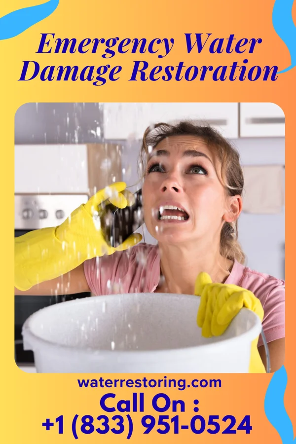 Emergency Water Damage Restoration in Jamestown, SC
