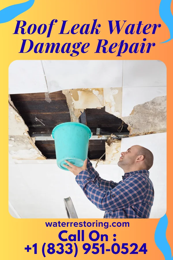 Roof Leak Water Damage Repair in Jamestown, SC