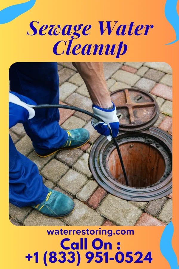 Sewage Water Cleanup in Jamestown, SC