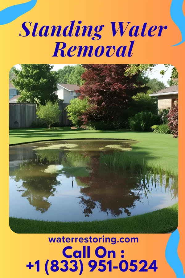 Standing Water Removal in Jamestown, SC
